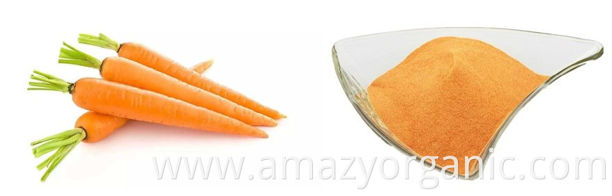 Carrot powder9.jpg